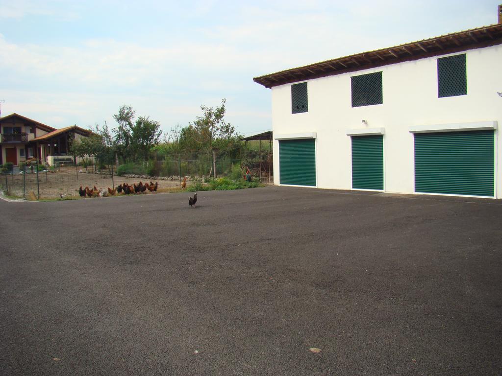 Les Gites Malidri Pontonx-sur-lʼAdour Exteriör bild